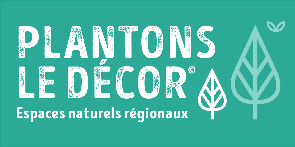 Logo de Plantons le décor