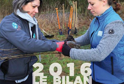 Bilan activités 2016 ENRx