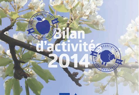 Bilan activités 2014 CRRG