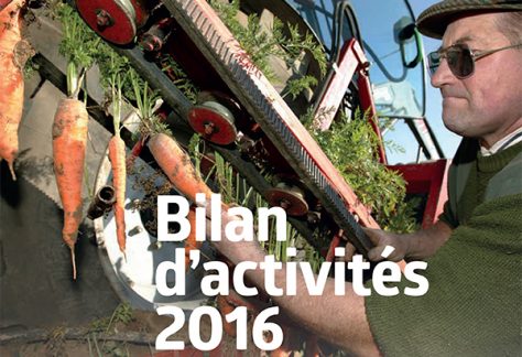 Bilan activités 2016 CRRG