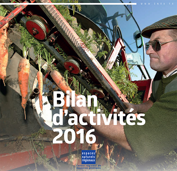 Bilan activités 2016 CRRG