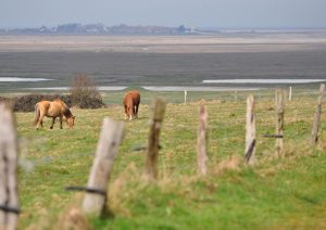 Creation-officielle-du-5eme-Parc-naturel-des-Hauts-de-France