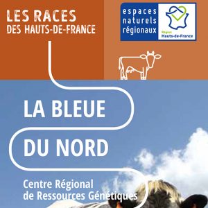 La Bleue du Nord