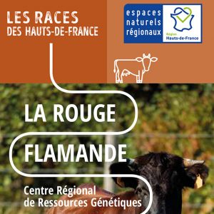La Rouge Flamande