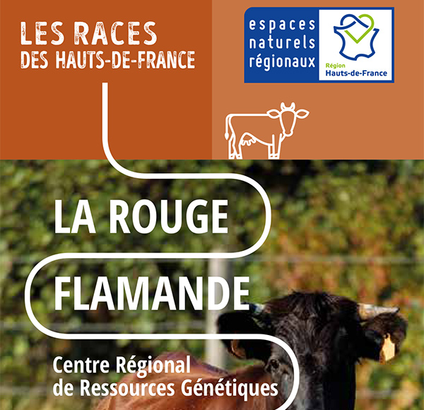 La Rouge Flamande