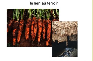 La valorisation du patrimoine légumier régional et le lien au terroir