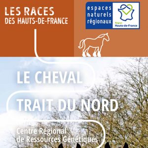 Le Cheval Trait du Nord