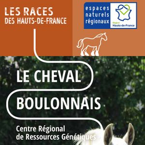 Le Cheval Boulonnais