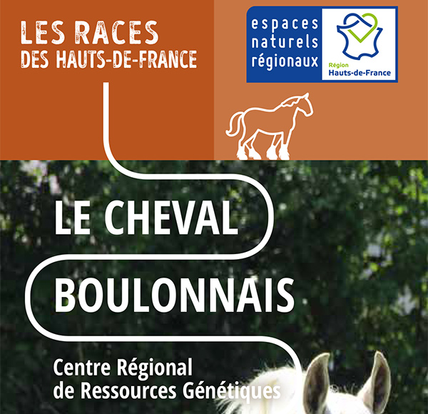 Le Cheval Boulonnais