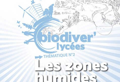 Les zones humides régionales