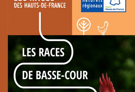 Les races de basse-cour