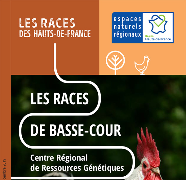 Les races de basse-cour