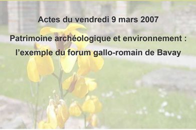 patrimoine archéologique et environnement