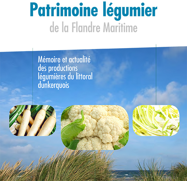 Patrimoine légumier de la Flandre Maritime