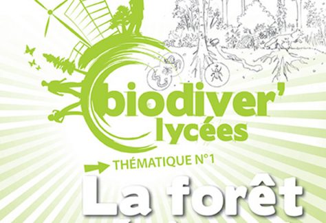 La forêt régionale