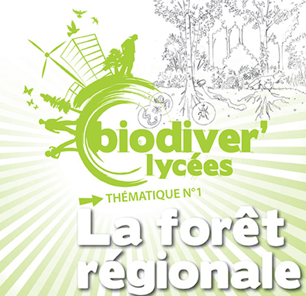 La forêt régionale