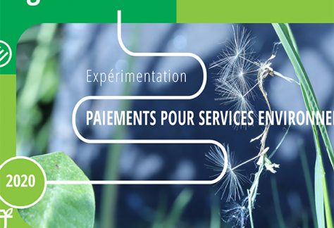 paiements pour services environnementaux