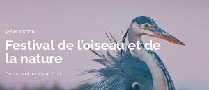 festival oiseau