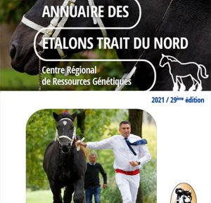 étalons trait du nord