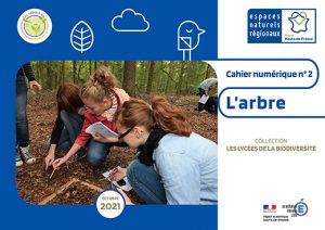 cahier pédagogique arbre