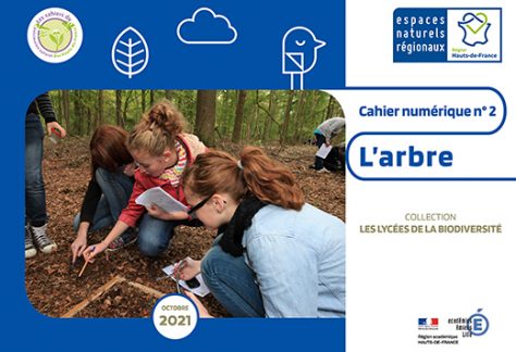 cahier pédagogique arbre