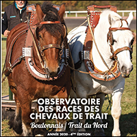 observatoire chevaux de trait