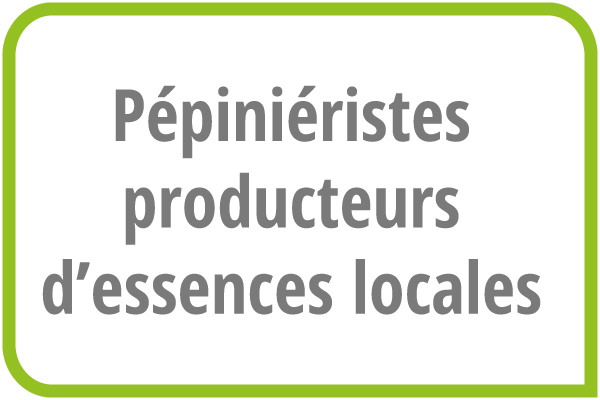 Les pépiniéristes producteurs d'essences locales