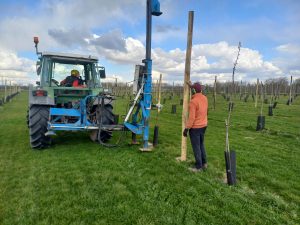 Installation des poteaux