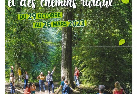 festival de l'arbre et des chemins ruraux