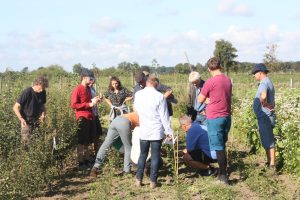 Visite de la pépinière de semis à Hollingstedt (1)