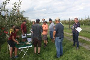 Visite du Centre fruitier Esterburg à Jork