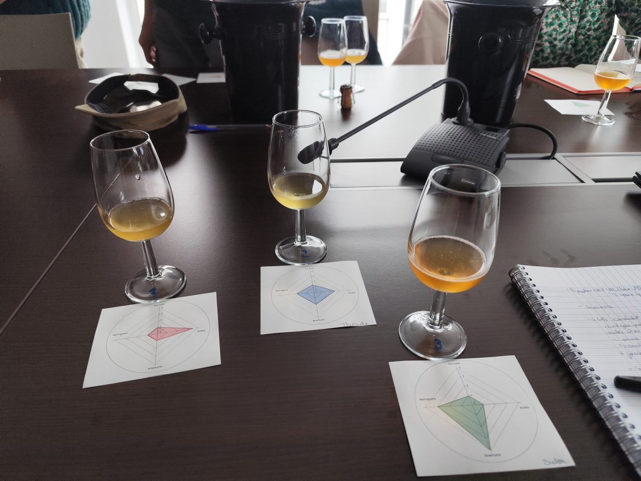 Un nouveau Comité de pilotage 2025 de « Structuration et développement de la filière pomme à jus et à cidre en Avesnois-Thiérache grâce à la démarche de reconnaissance en AOP du Cidre de Thiérache »