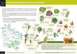 3_Guide_Potager_14