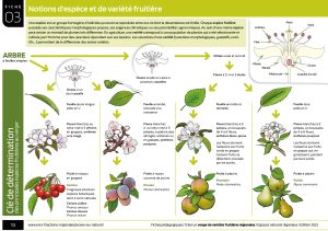 8_Guide_Verger_13