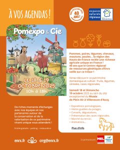 Save the date
