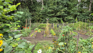 Potager 2