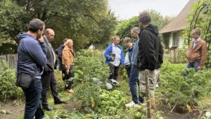 Potager 6
