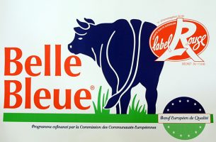 logo Belle bleue